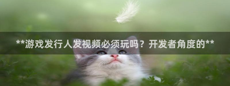 新航娱乐公司扣费流程详解图片：**游戏发行人发视频必须玩吗？开发者角度的**