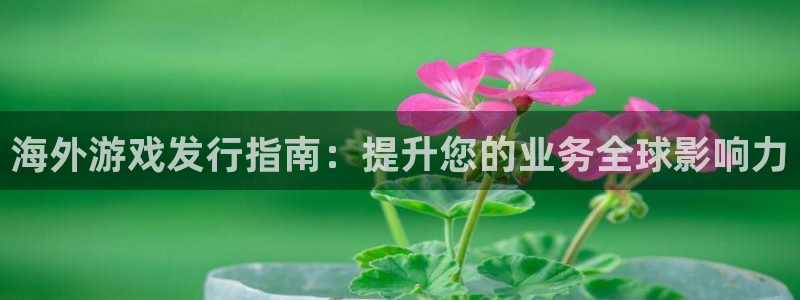 新航娱乐扣款后还能重新扣嘛：海外游戏发行指南：提升您的业务全球影响力